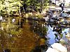DSC05930.jpg